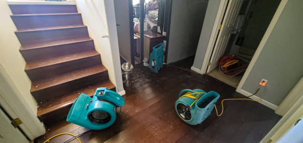 Best Flood restoration services  in Vinco, PA