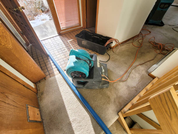 Best Basement water damage restoration  in Vinco, PA