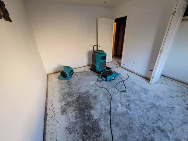 Best Local water damage restoration  in Vinco, PA
