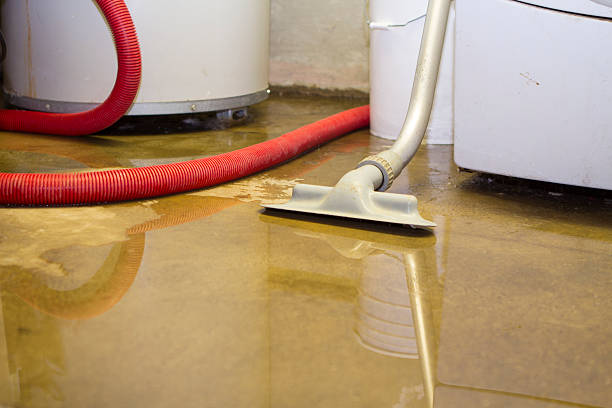 Best Water damage restoration insurance claims  in Vinco, PA