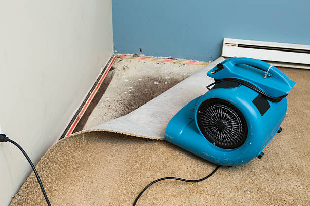 Best Basement water damage restoration  in Vinco, PA